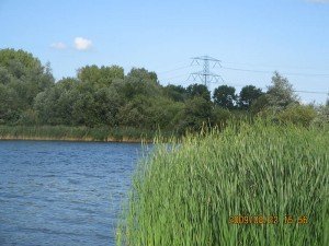 01 Viep verjaard 079