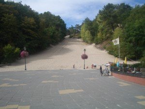 IMGP0320
