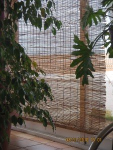 Denia maart 2010 009
