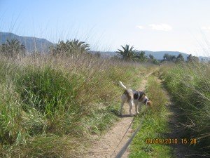 Denia maart 2010 159