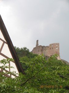 IMG_2737