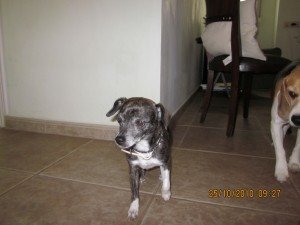 IMG_0426