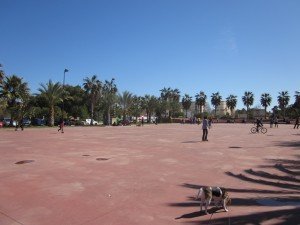 IMG_1297