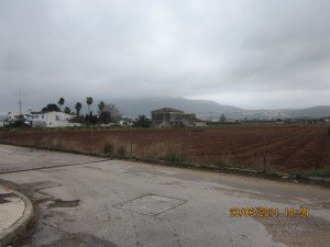 IMG_1493
