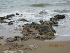IMG_1504