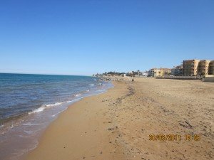 IMG_1538