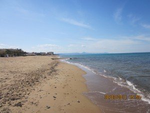 IMG_1539