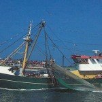 Gegevens TX 27: Lengte: 23,9 meter Breedte: 6,2 Holte: 2,8 Inhoud: 106 GT Bouwjaar casco: 1984 Motor: Scania PK: 300 Bouwjaar Motor: 2002 Hoofdaannemer: W. Vlaamse Scheepswerven