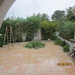 IMG_0001