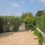 IMG_0003