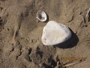 IMG_0064