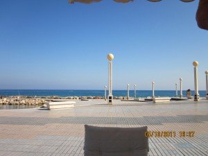 IMG_0514
