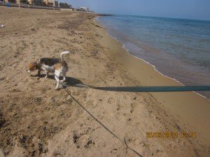 IMG_0001