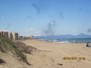 IMG_0011
