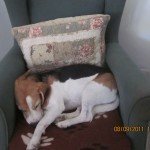 IMG_0039 6
