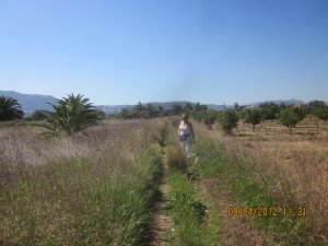 IMG_0067