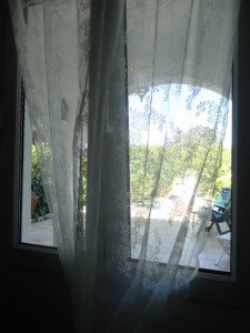 DSC03215