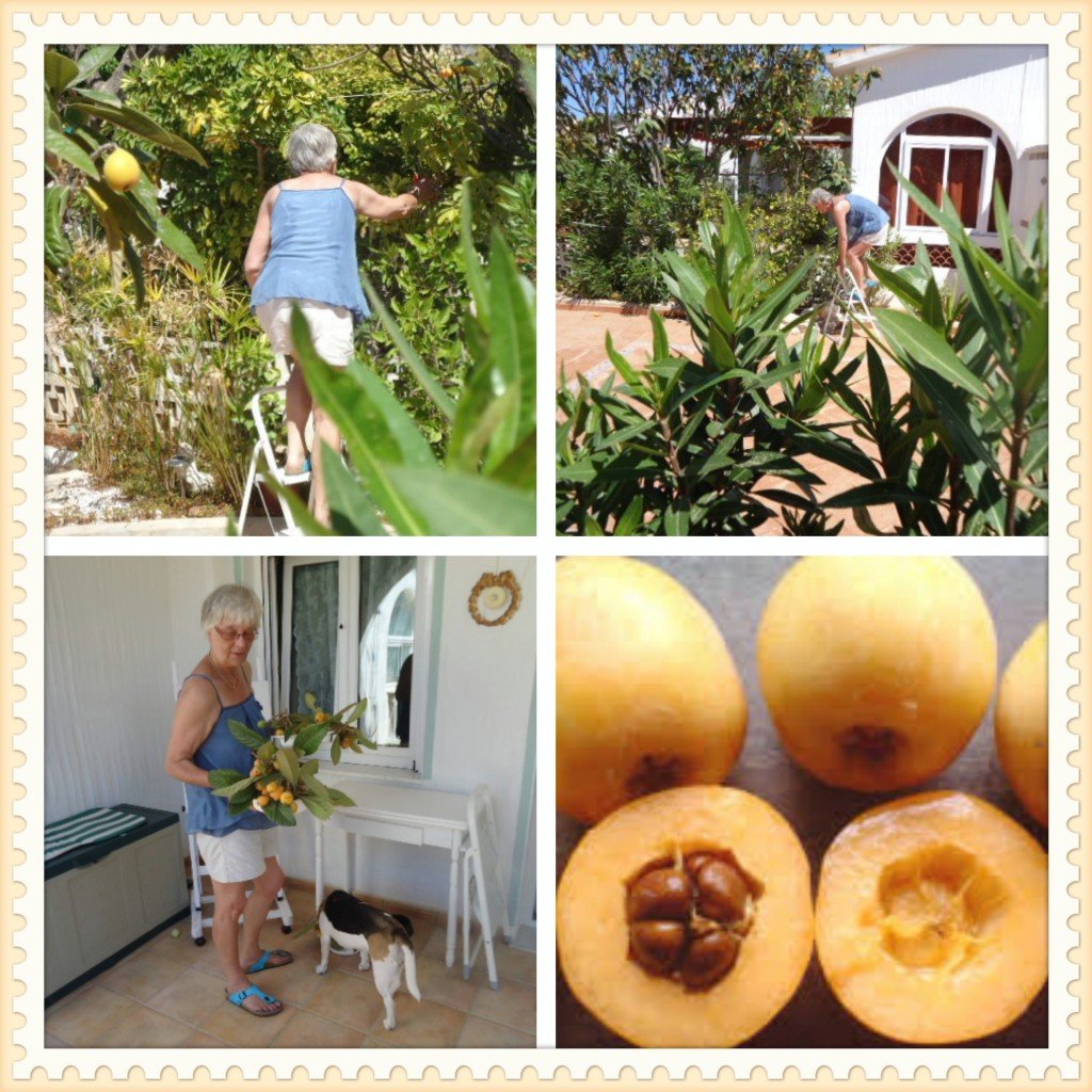 DSC03376lijst_Fotor_Collage_Fotor
