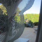 IMG_1054