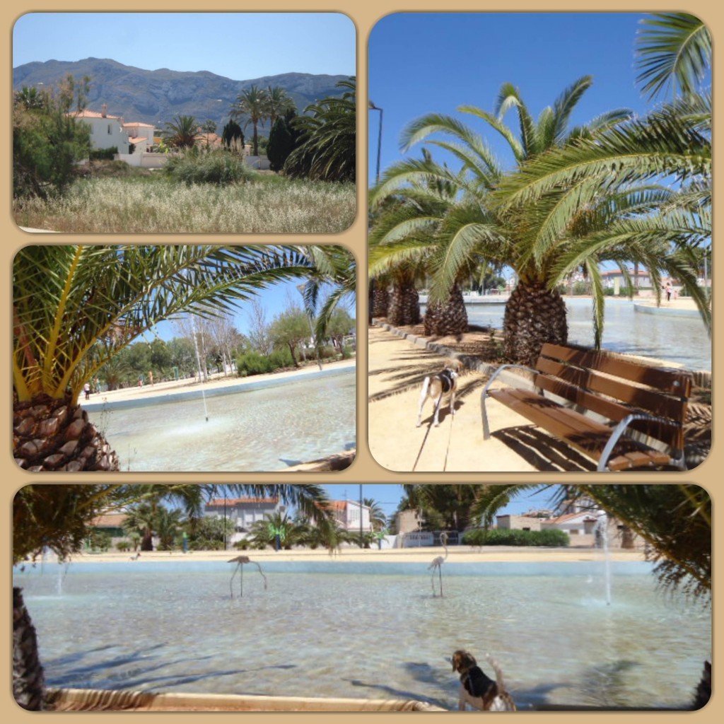 DSC03821_Fotor_Collage