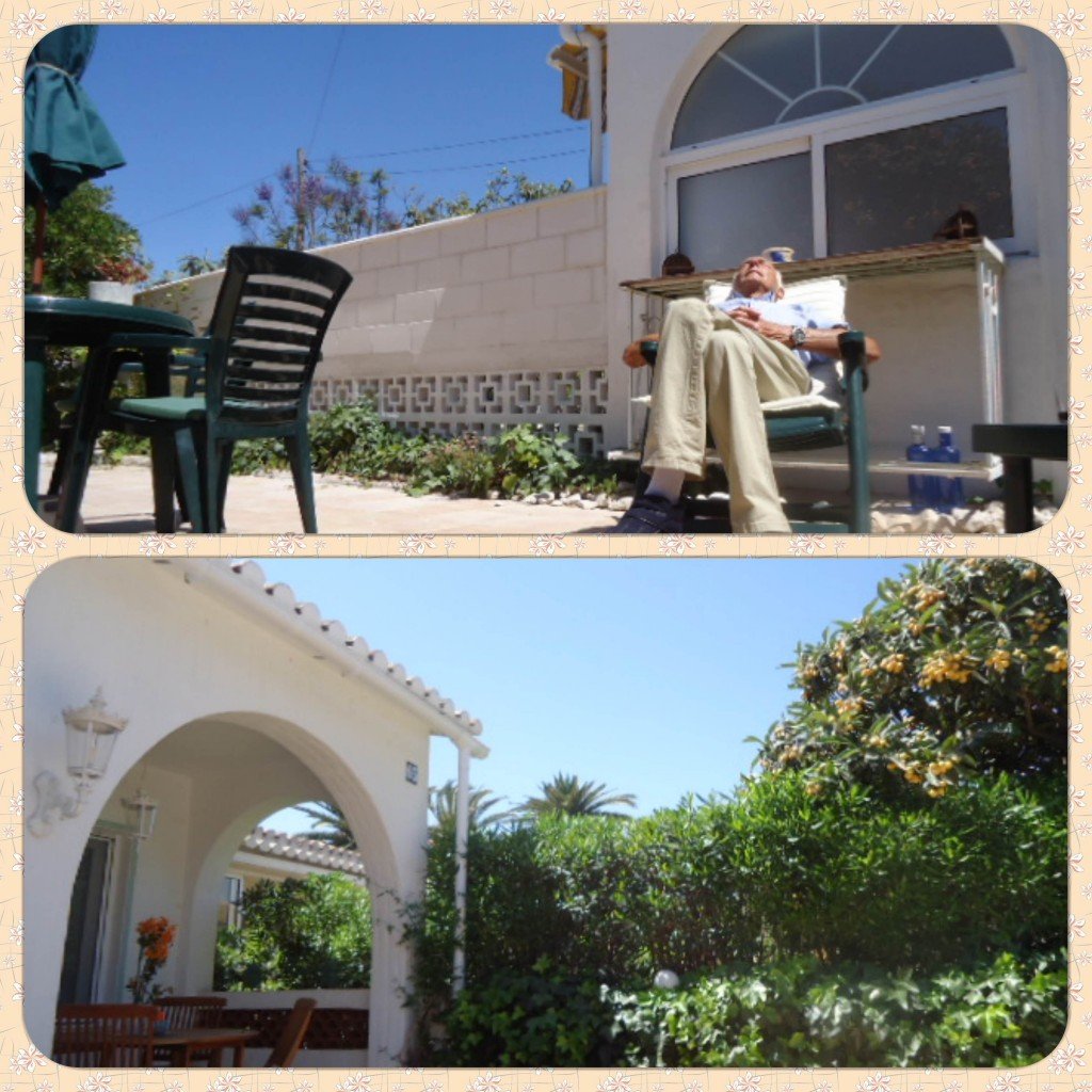 DSC03875_Fotor_Collage