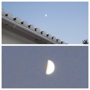 IMG_1675_Fotor_Collage