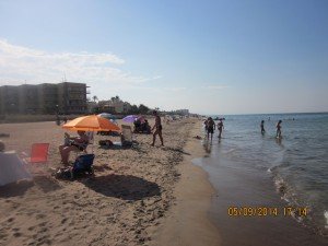 IMG_1714