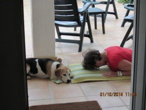 IMG_2085