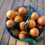 2014-10-31fruit