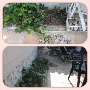IMG_2183_Fotor_Collage