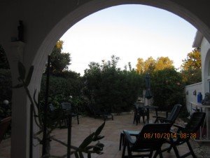 IMG_2231