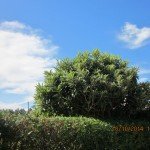IMG_2283