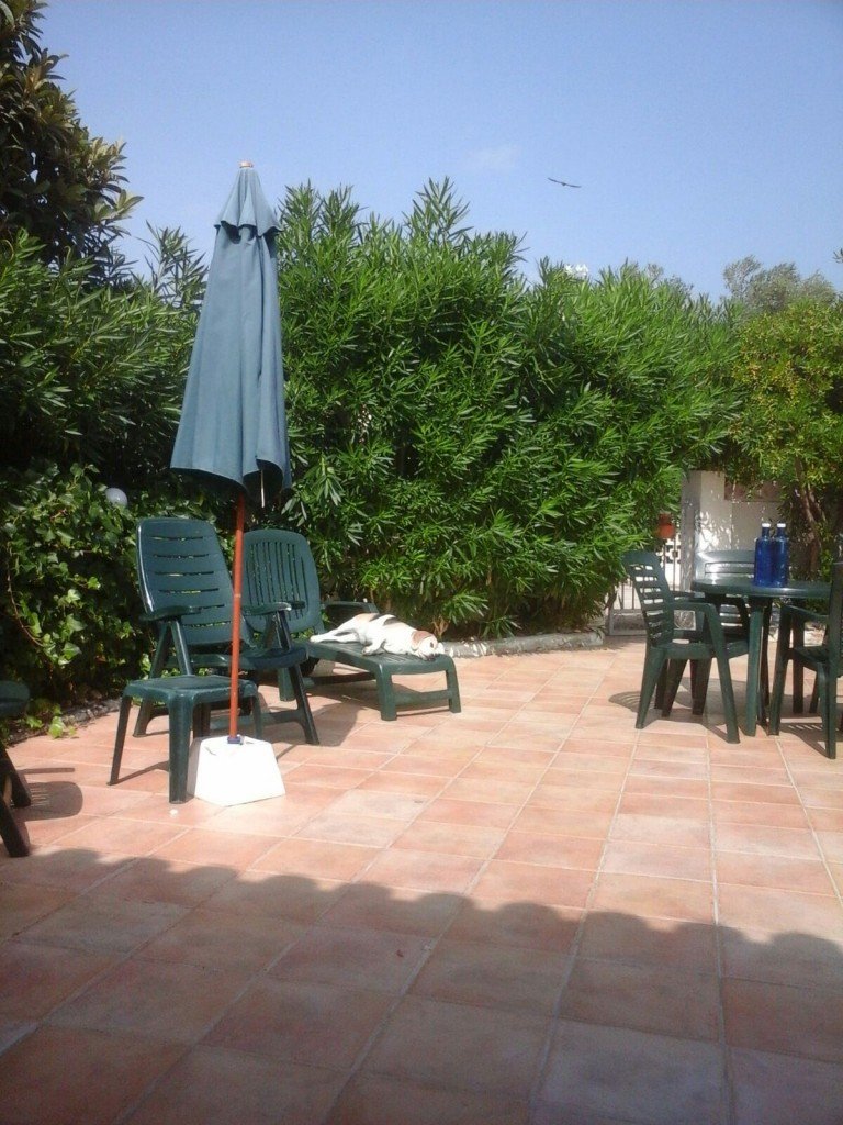 Floor