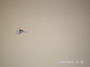 SAMSUNG CAMERA PICTURES
