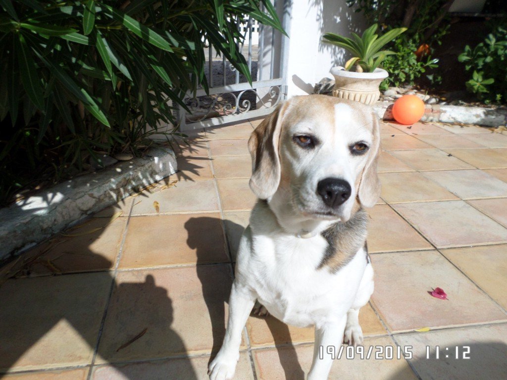 SAMSUNG CAMERA PICTURES