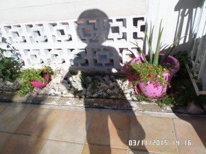 SAMSUNG CAMERA PICTURES
