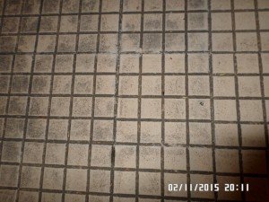SAMSUNG CAMERA PICTURES