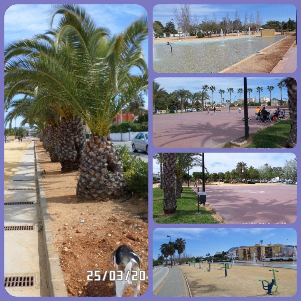 Collage_FotorParkpalm