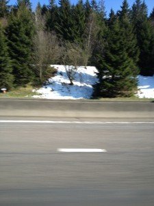 IMG_0136 (1)