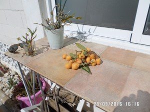 SAMSUNG CAMERA PICTURES