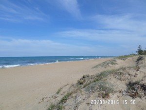 SAMSUNG CAMERA PICTURES