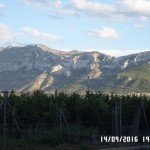 SAMSUNG CAMERA PICTURES