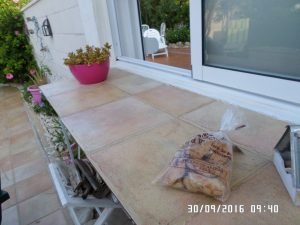 SAMSUNG CAMERA PICTURES